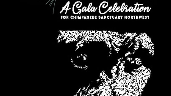 HOOT - Chimpanzee Sanctuary Northwest Annual Fundraiser